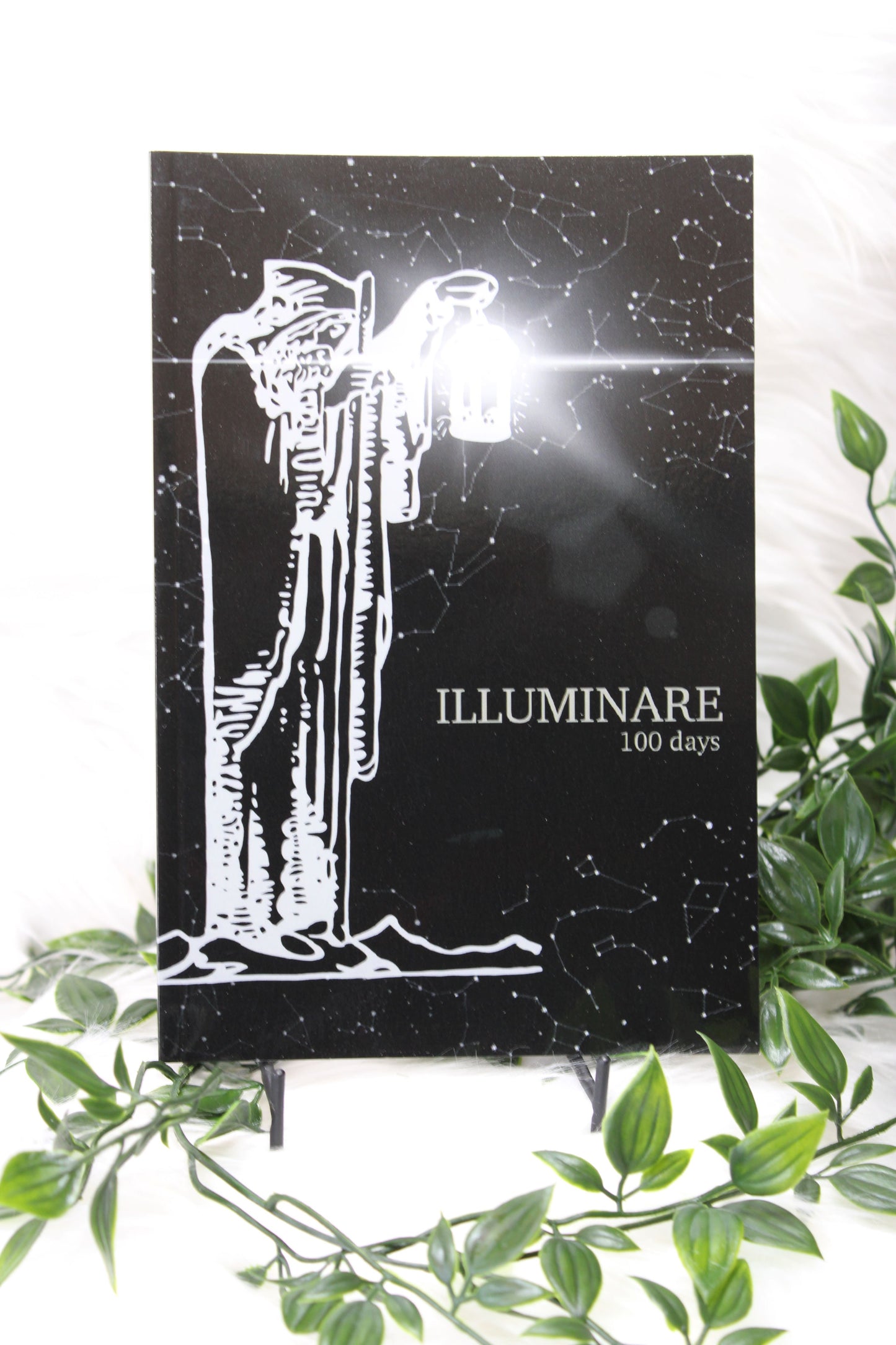 ILLUMINARE SHADOW WORK BOOK