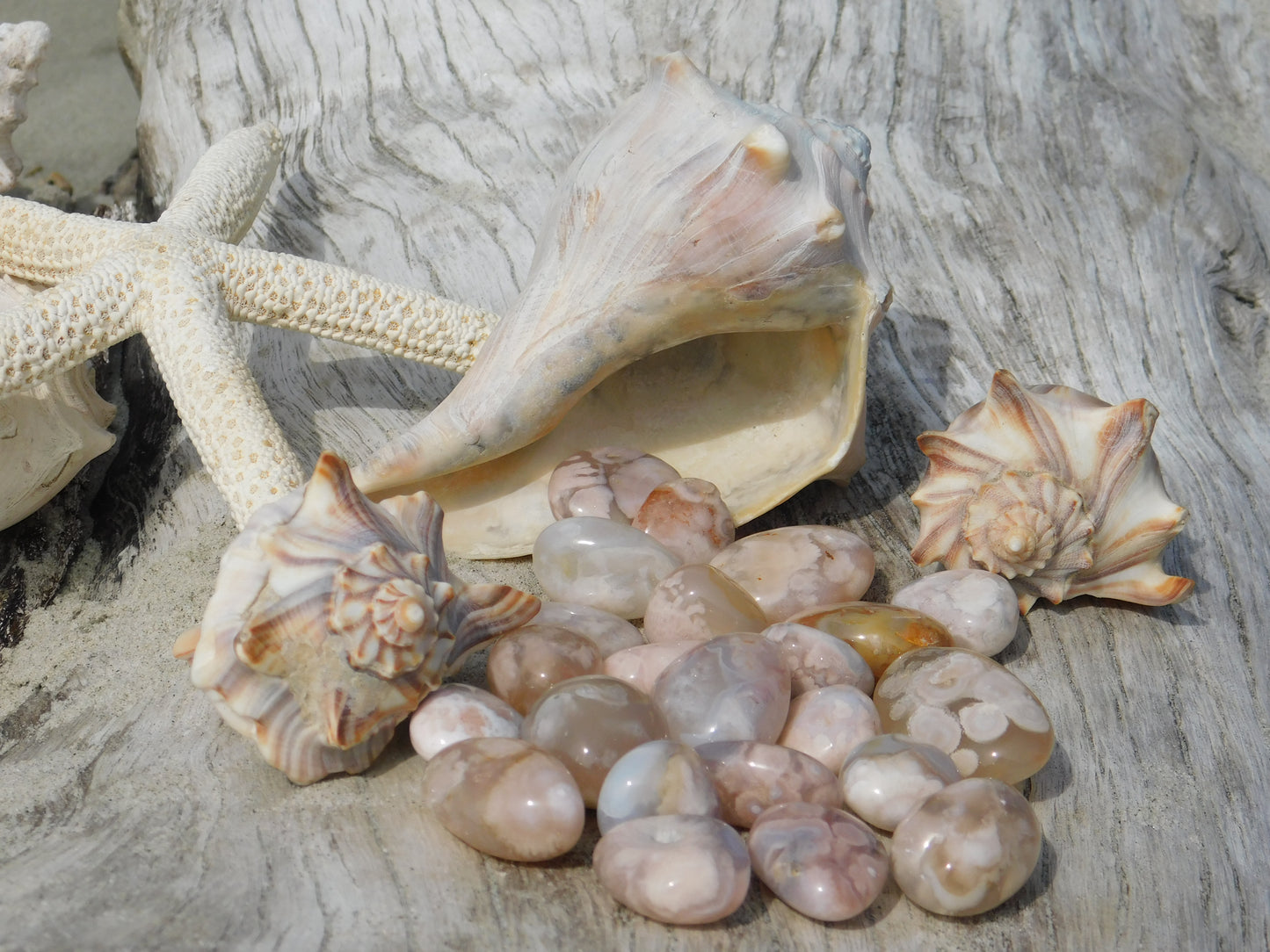 FLOWER AGATE TUMBLE