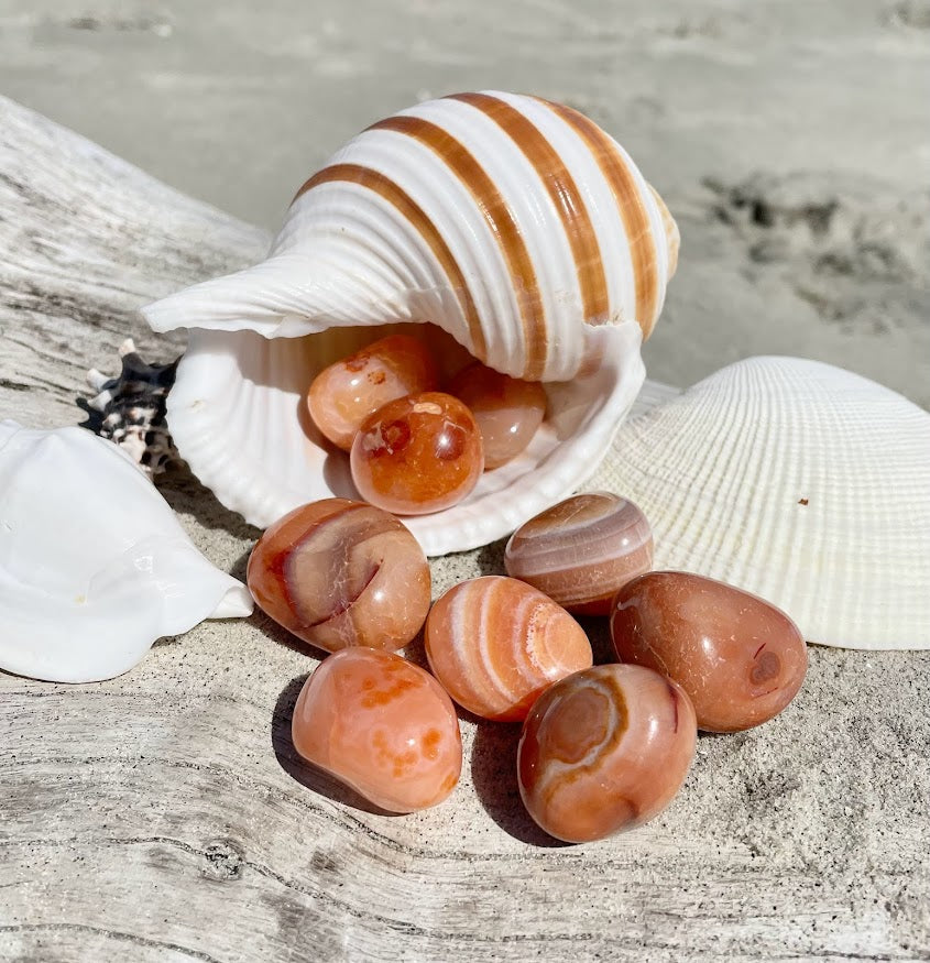 CARNELIAN TUMBLE